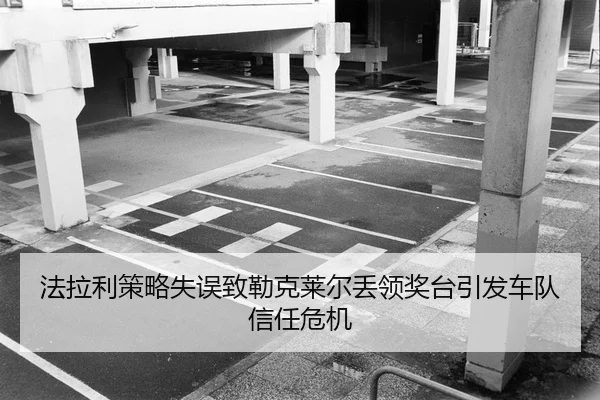 fa-la-li-ce-lve-shi-wu-zhi-lei-ke-lai-er-diu-ling-jiang-tai-yin-fa-che-dui-xin-ren-wei-ji-2-208.jpg